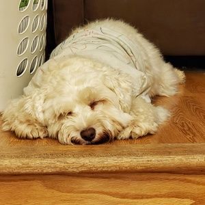 Meet your Posher, Raymond